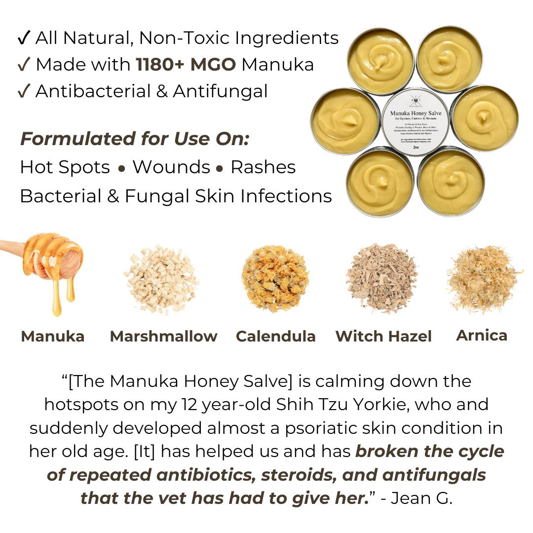 The Hoof & Paw Co. Manuka Honey Salve for Dogs, Horses & Humans