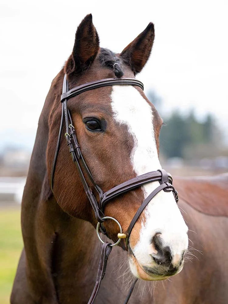 Grewal Equestrian - Marco Simone Italian Leather Monocrown Bridle