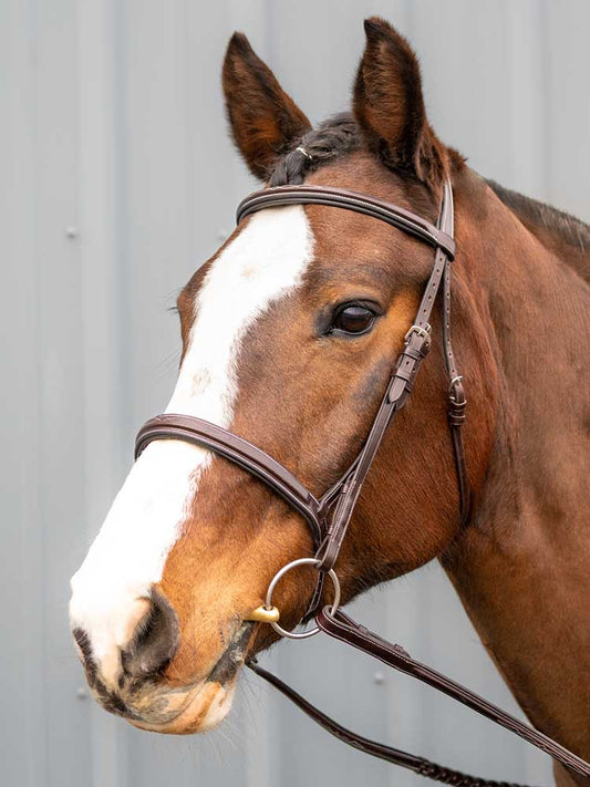 Grewal Equestrian - Marco Simone Italian Leather Monocrown Bridle