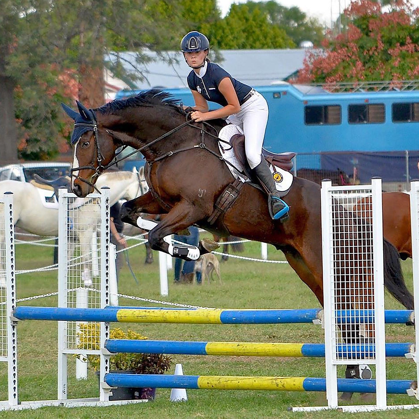 Majyk Equipe - Infinity Fetlock Boots with ARTi-LAGE Technology  (FEI Young Horse Compliant)