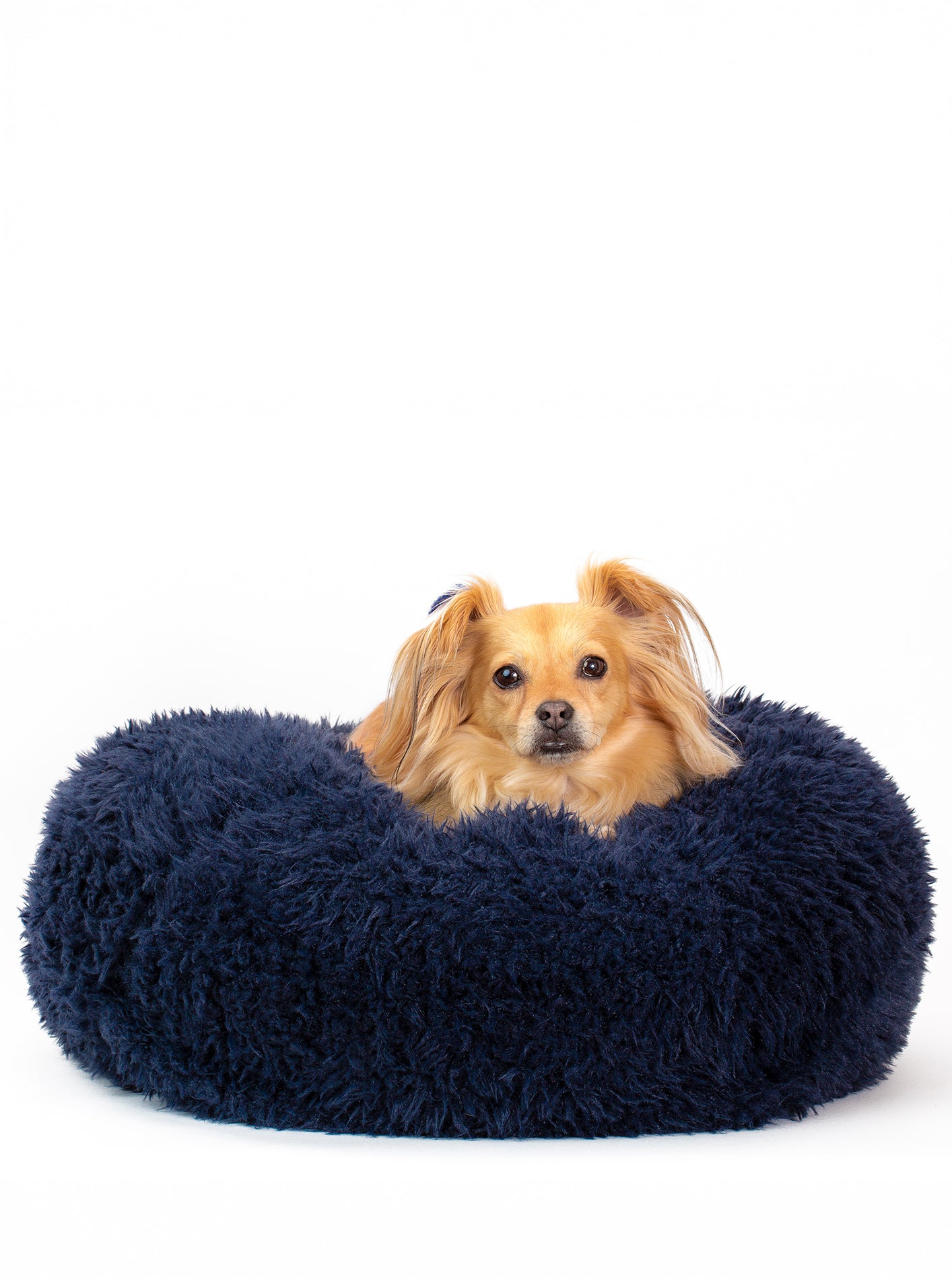 MODERNBEAST POD Dog Bed