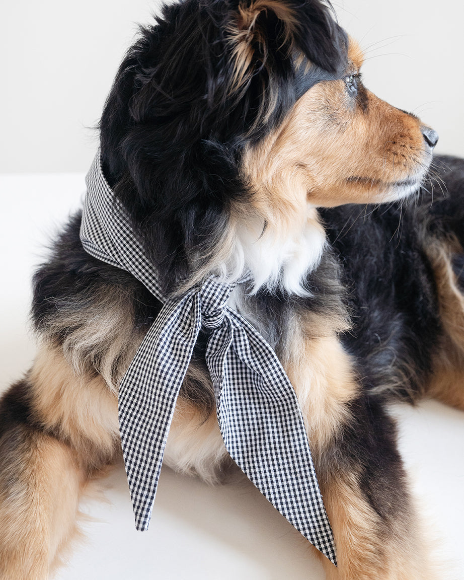 MODERNBEAST Classic Necktie