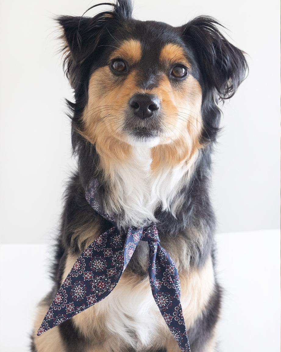 MODERNBEAST Classic Necktie
