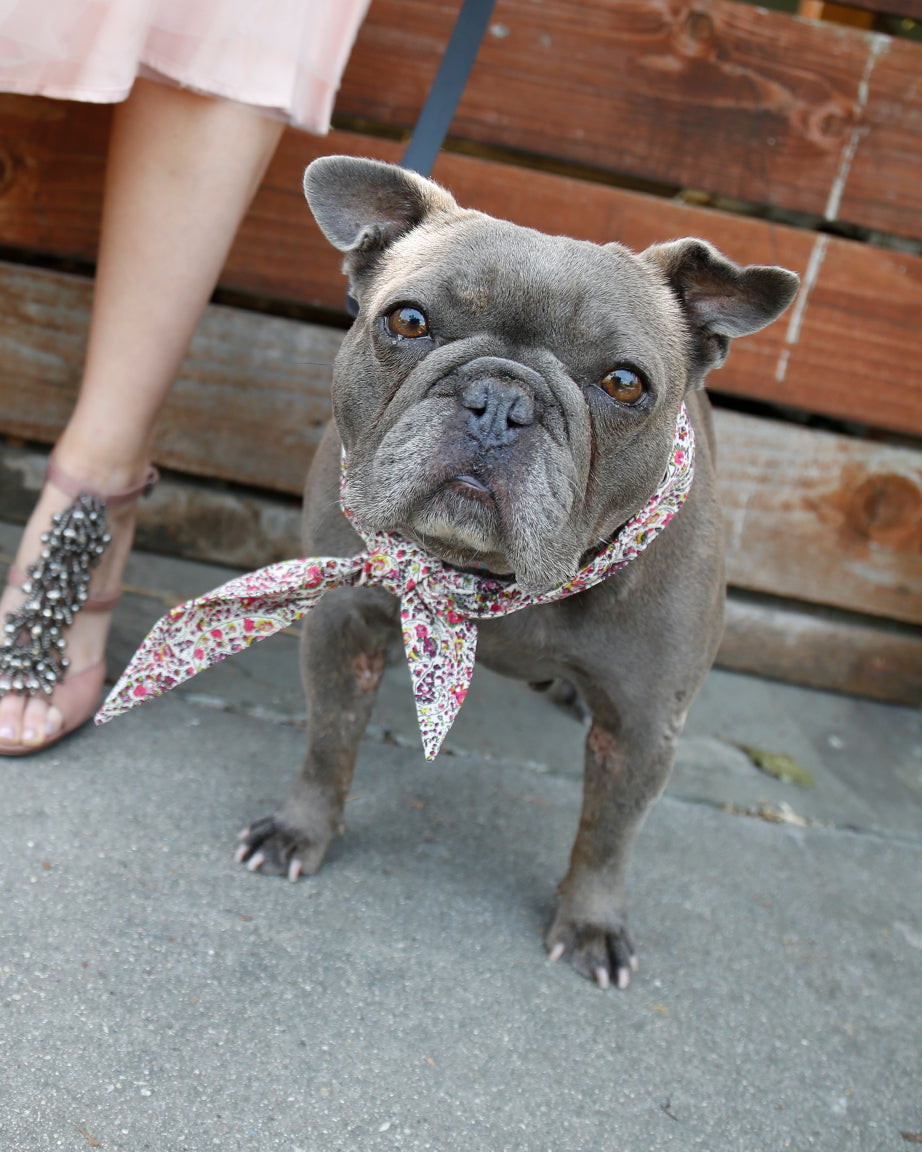 MODERNBEAST Classic Necktie