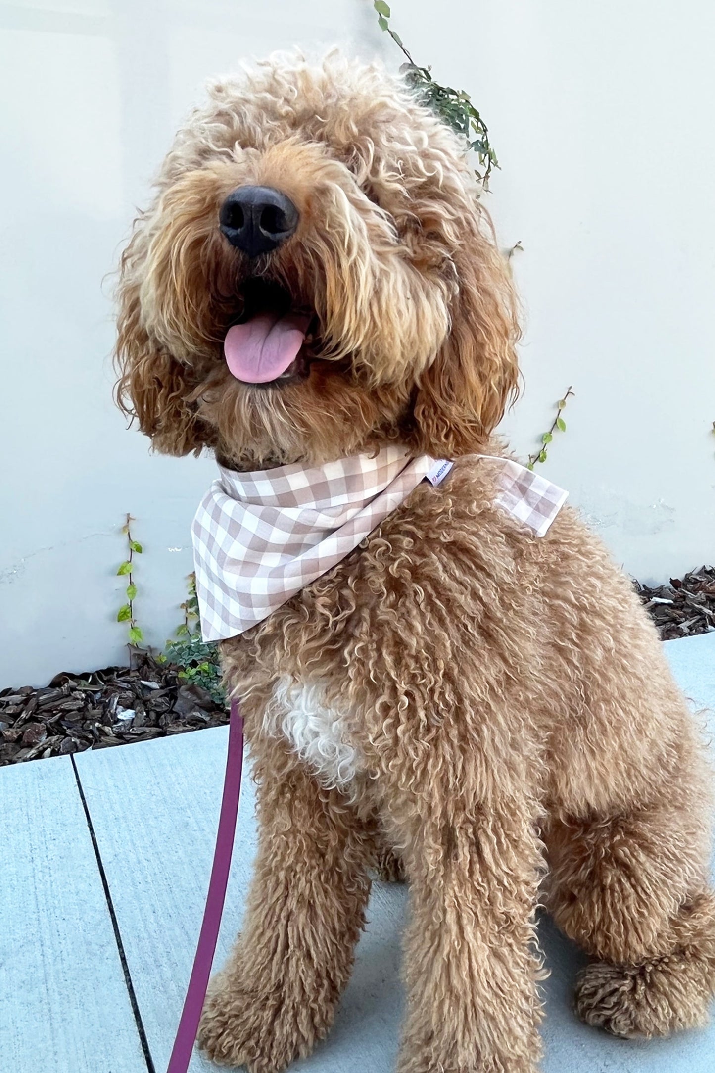 MODERNBEAST  Gingham Bandana