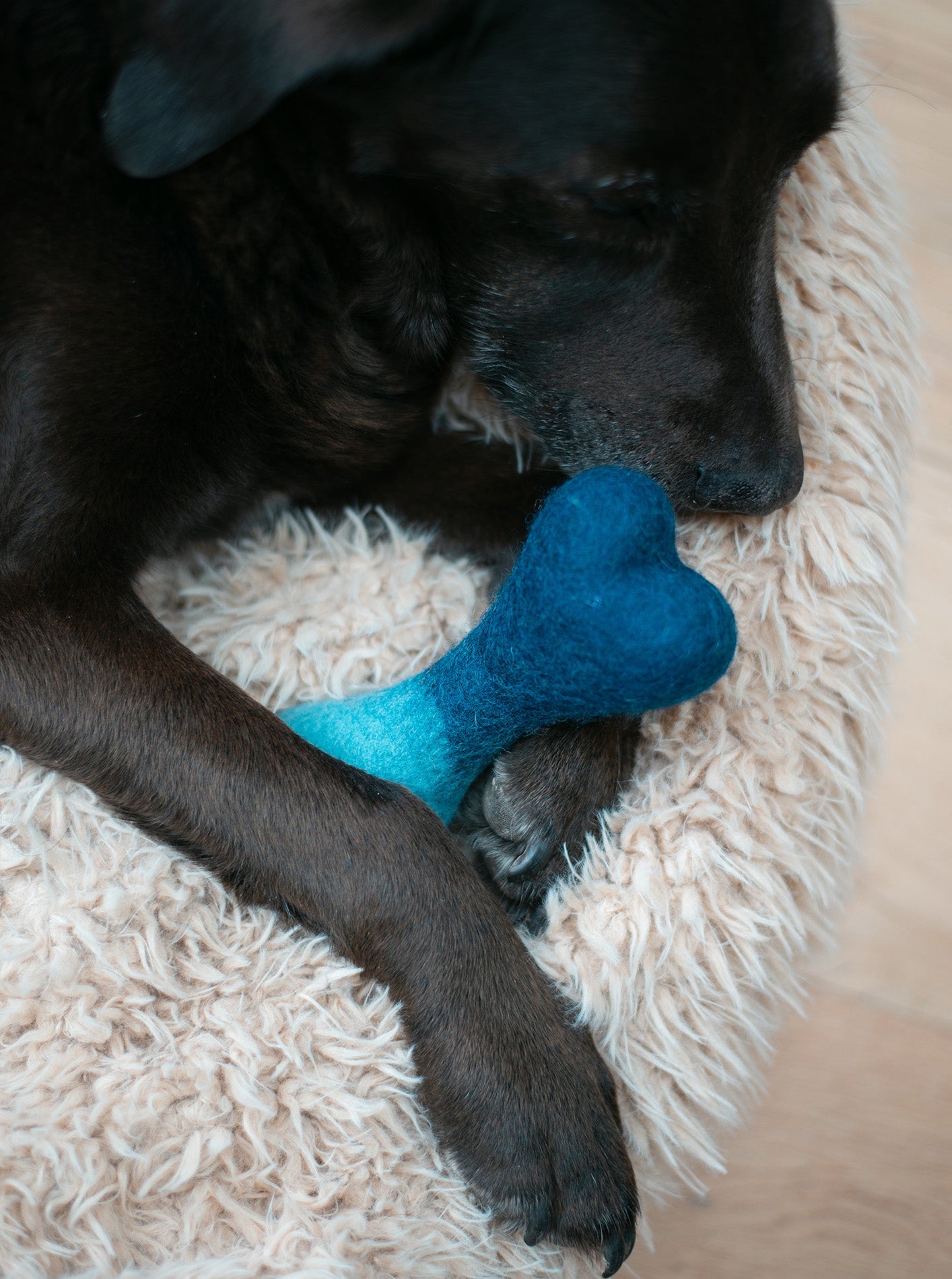 MODERNBEAST Ombre Woolbone