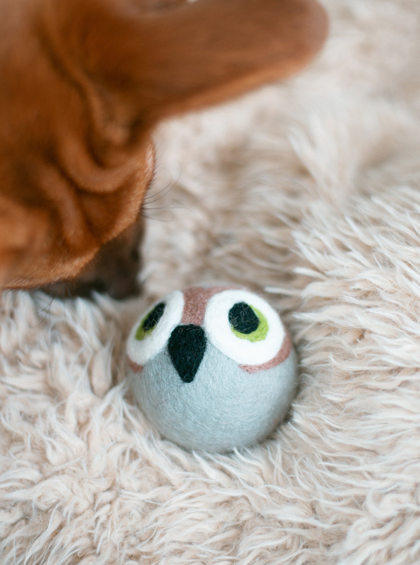 MODERNBEAST Wise Old Owl Beastball