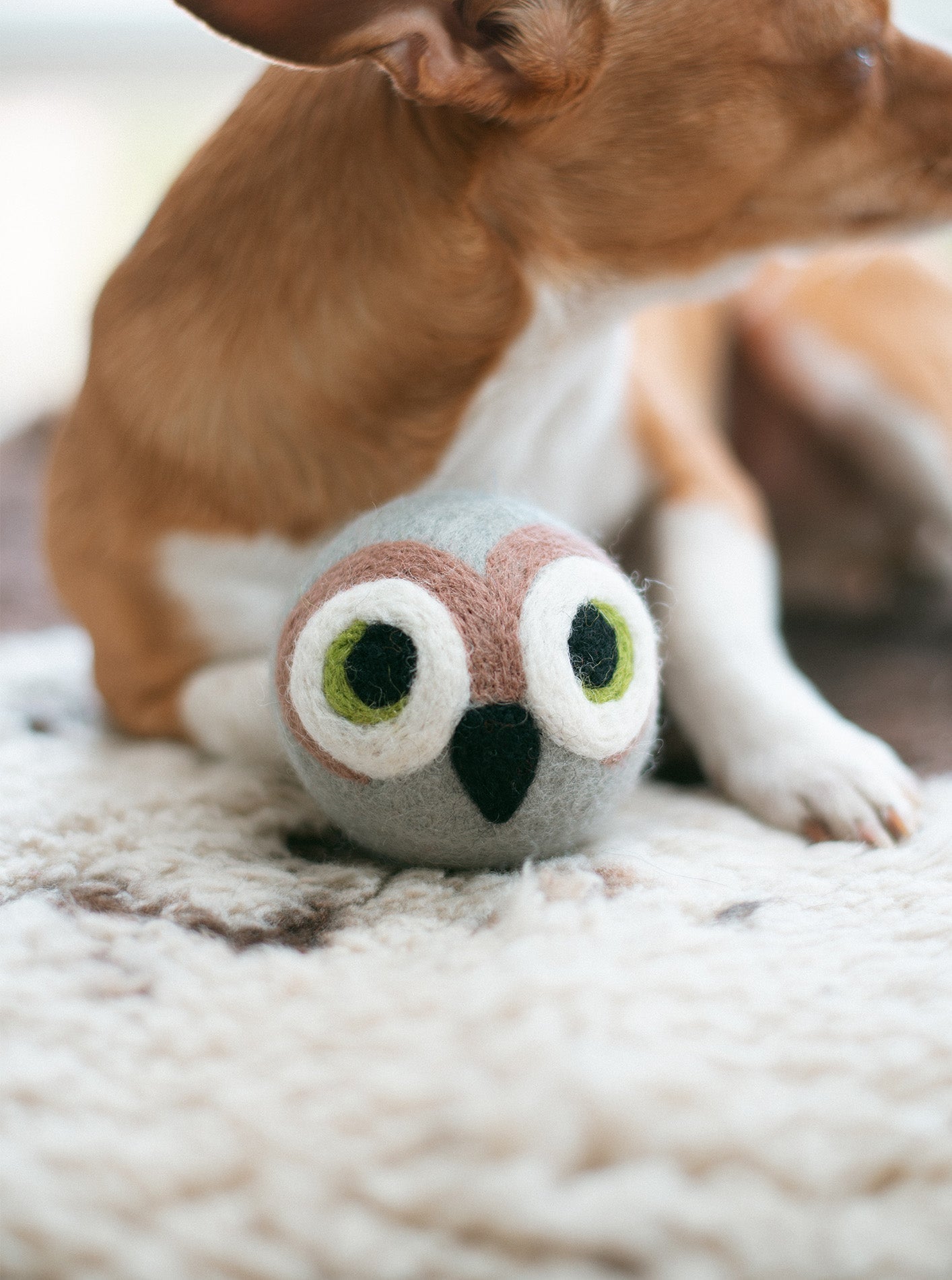 MODERNBEAST Wise Old Owl Beastball