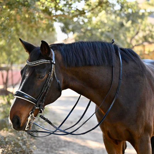 Halter Ego - The Harlow Black Rolled Leather Double Bridle