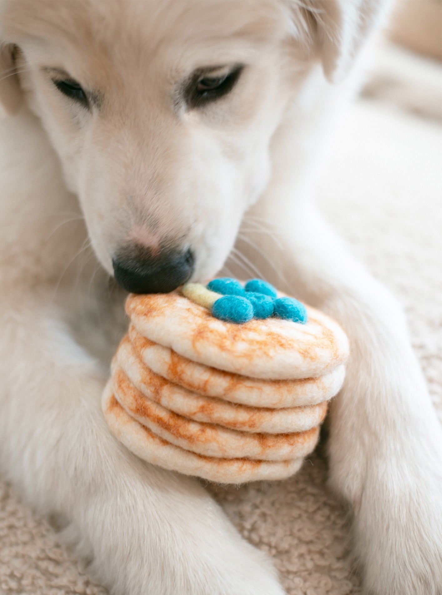 MODERNBEAST -  Stack of Pancakes Wool Dog & Cat Toy