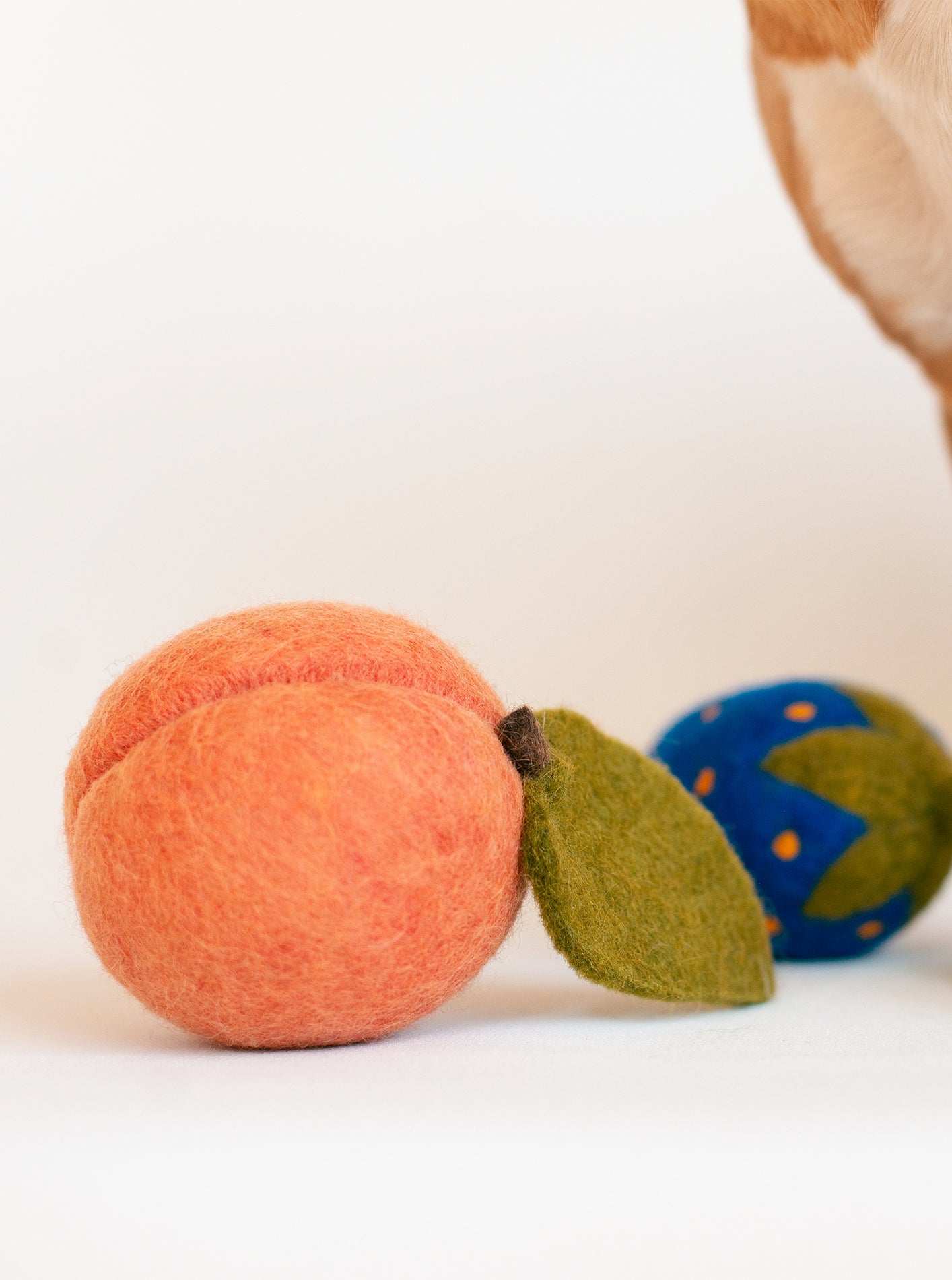 MODERNBEAST Doggy Peach