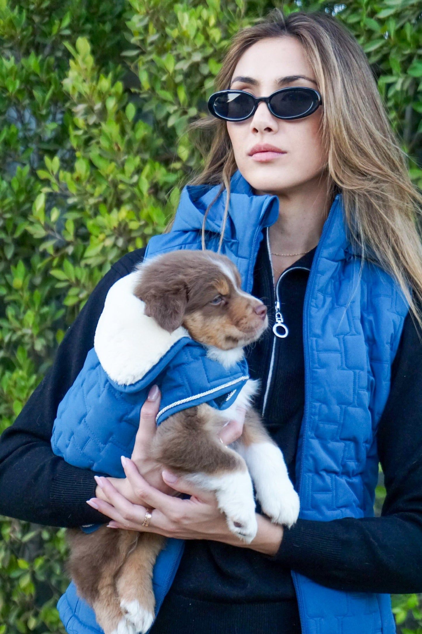Harcour USA - Bernie Dog Coat