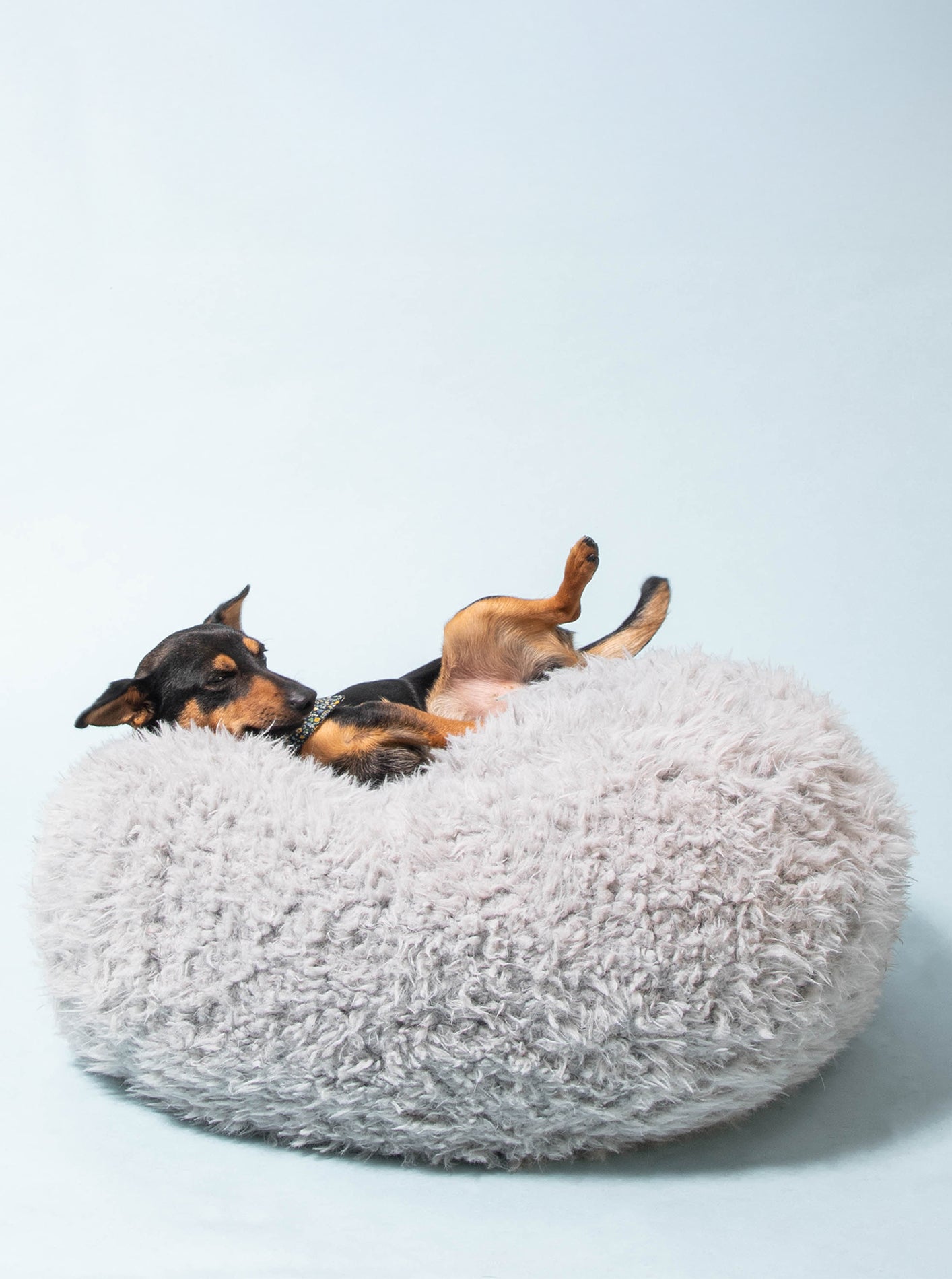 MODERNBEAST POD Dog Bed