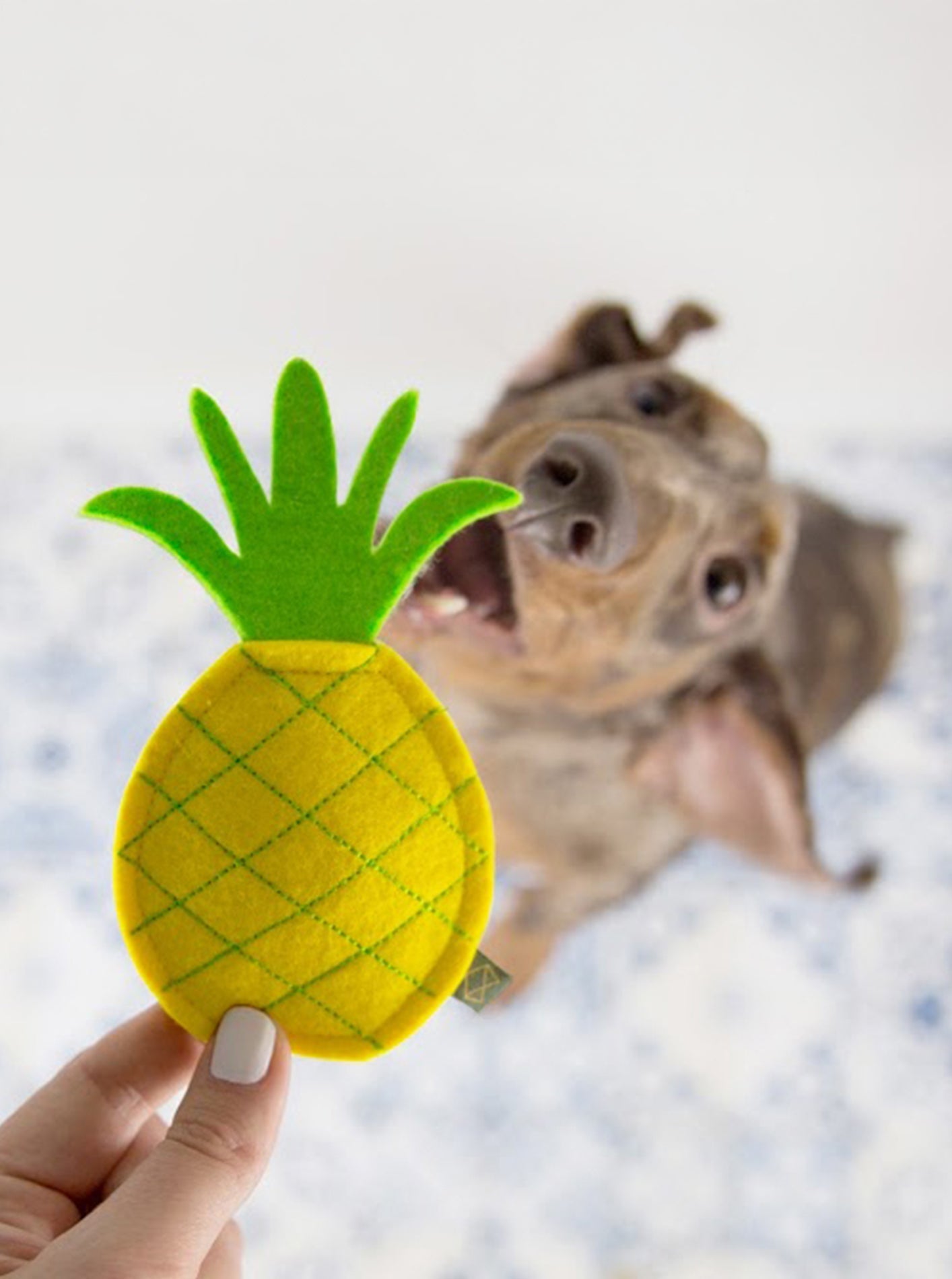 MODERNBEAST - Pineapple Dog Squeaker Toy