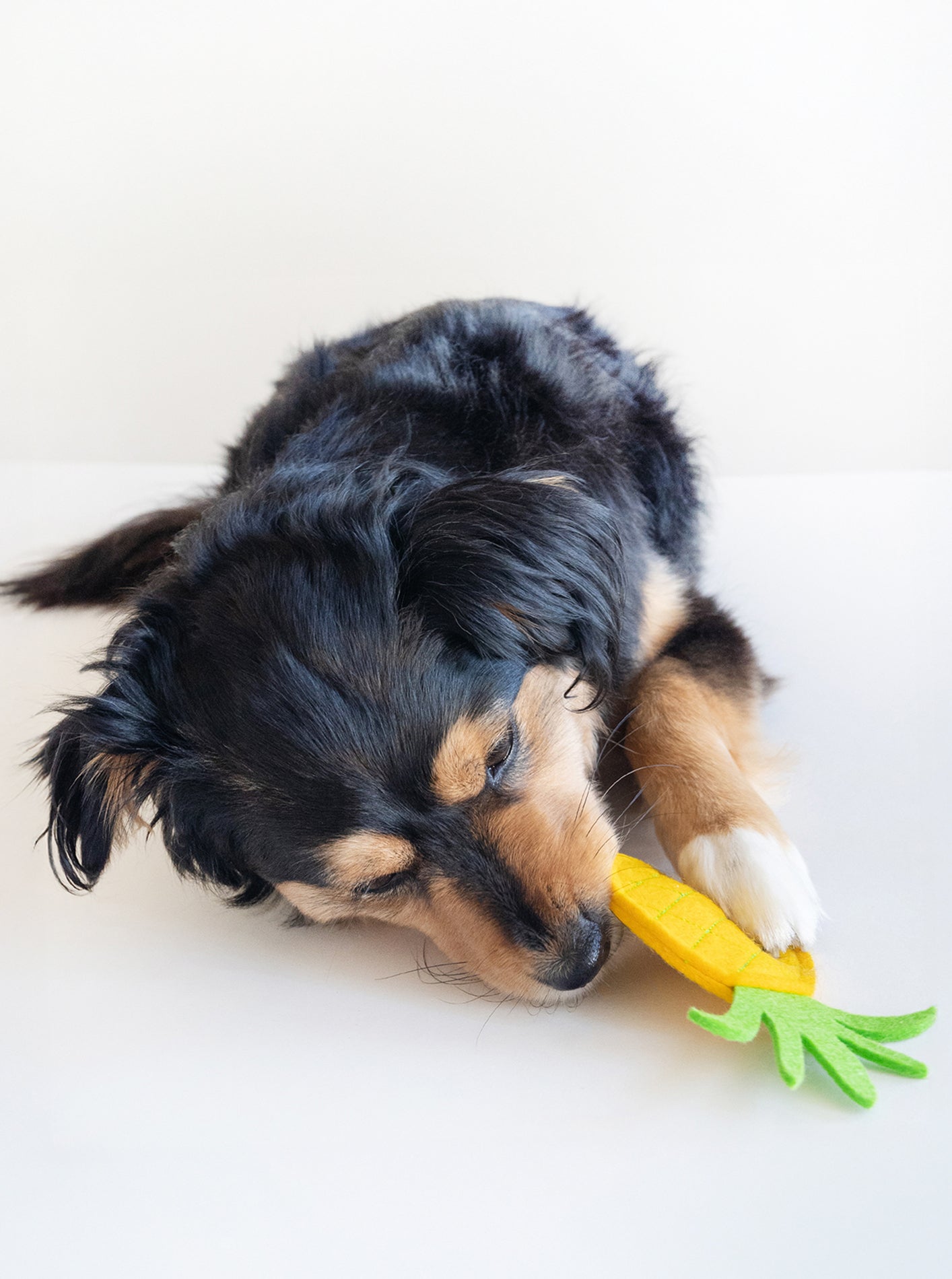 MODERNBEAST - Pineapple Dog Squeaker Toy