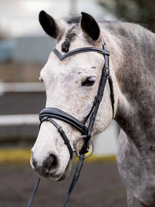 Grewal Equestrian - Quail Hollow Round Raised Snaffle Bridle
