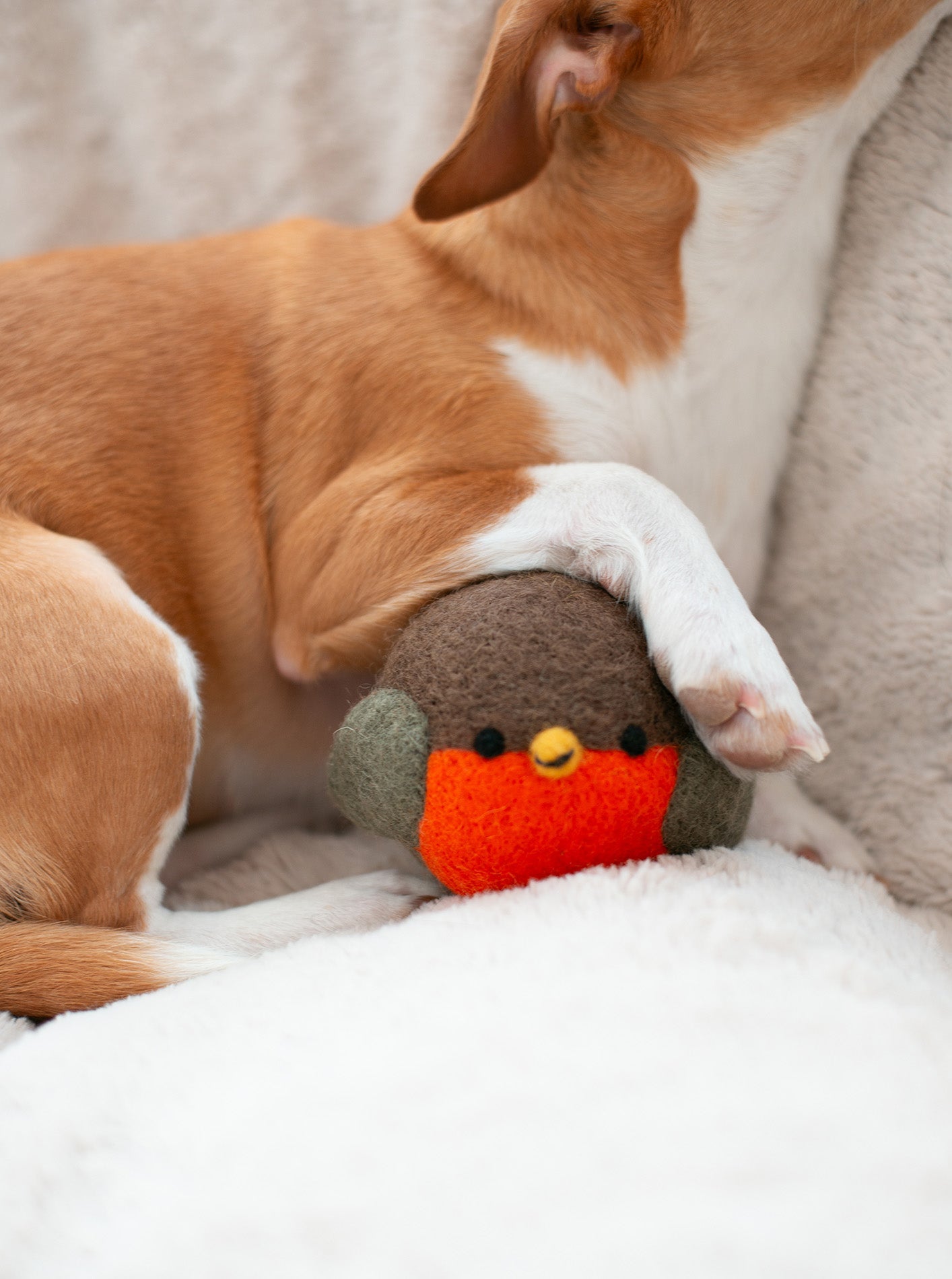 MODERNBEAST -  Robin Beastballl Dog Toy