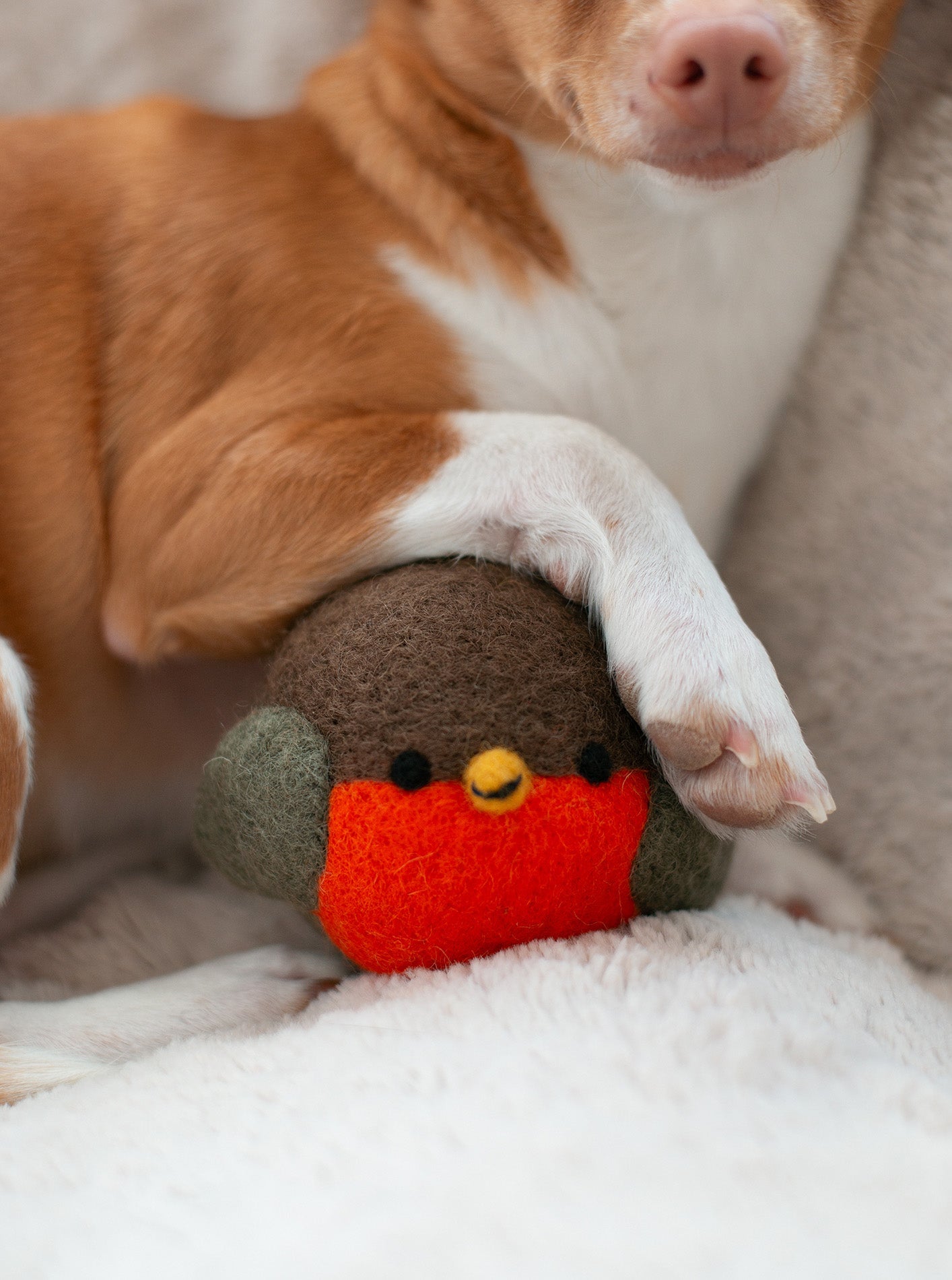 MODERNBEAST -  Robin Beastballl Dog Toy