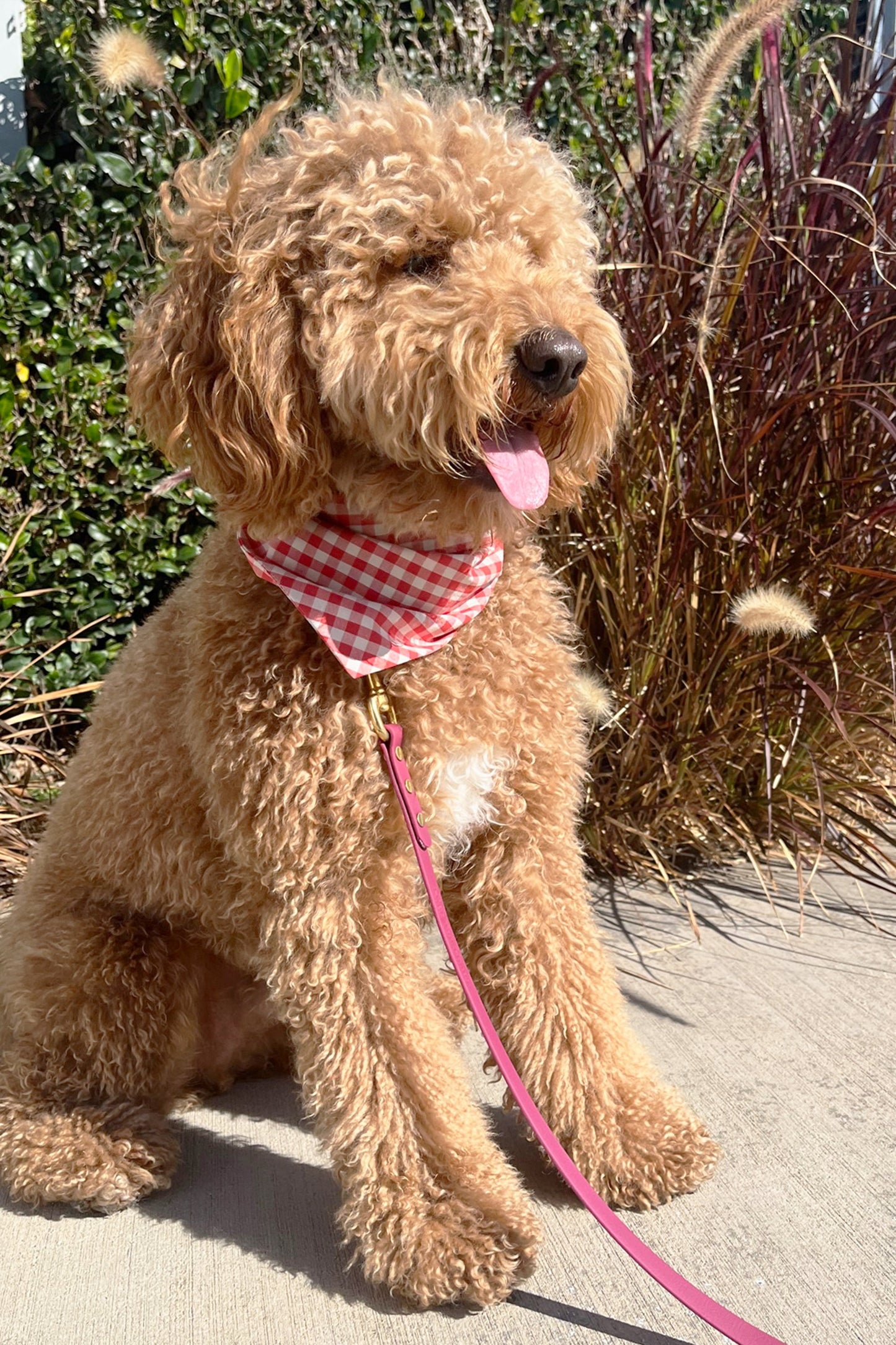 MODERNBEAST  Gingham Bandana