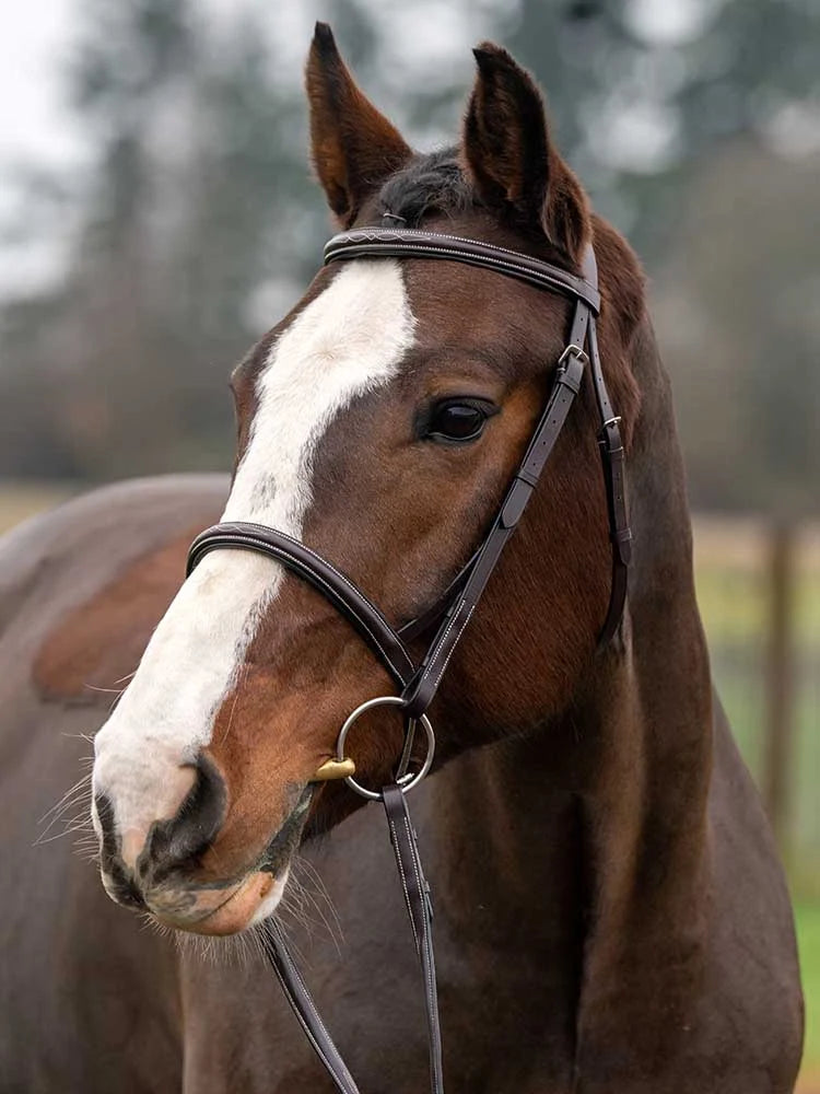 Grewal Equestrian - Royal Liverpool Round Raised Hunter Bridle