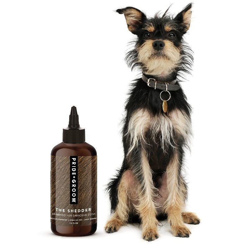 PRIDE+GROOM THE SHEDDER Dog Shampoo — Natural, Moisturizing De-Shedding Shampoo for Dogs Who Shed