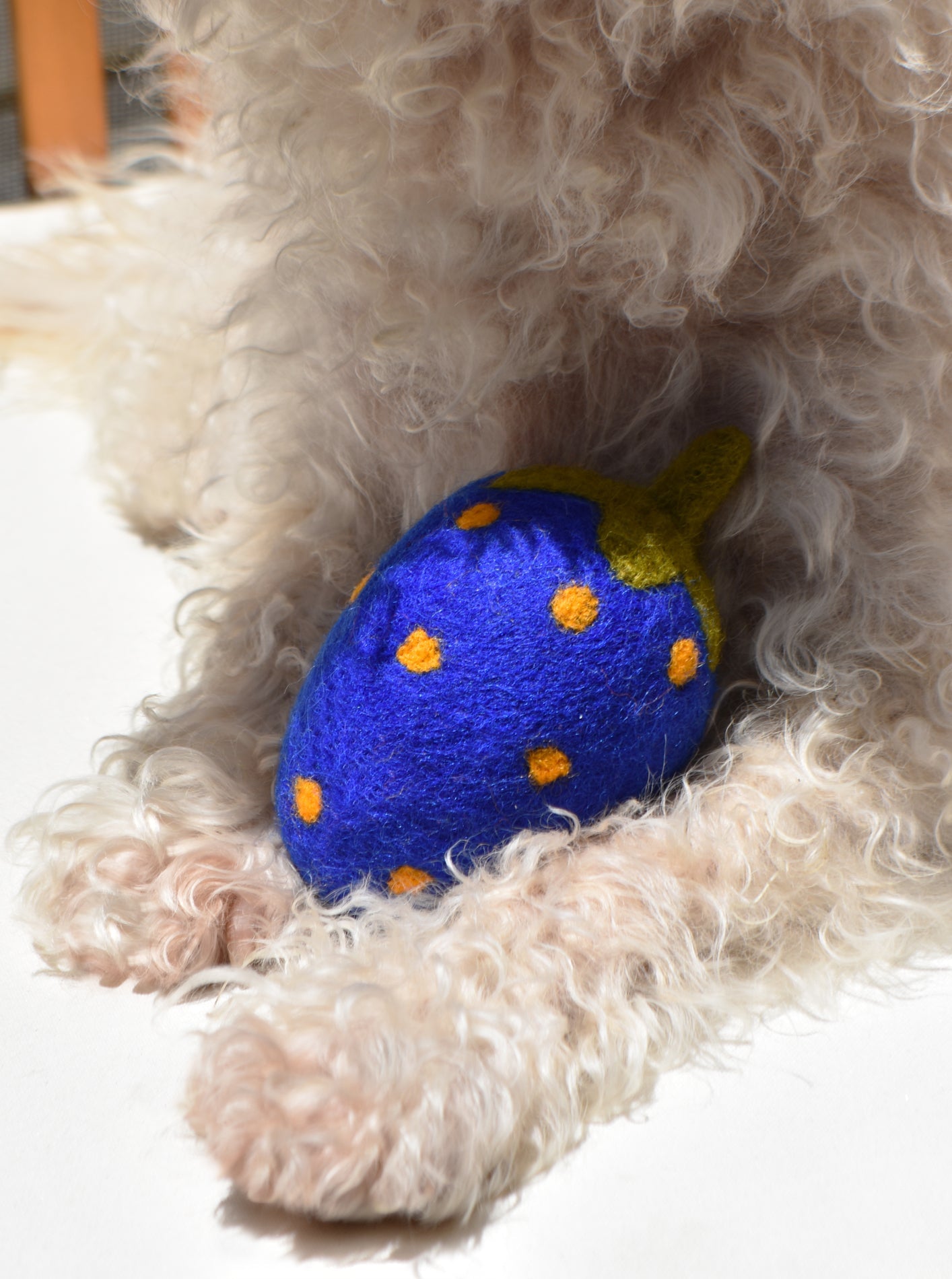 MODERNBEAST - Blue Strawberry Wool Dog Toy