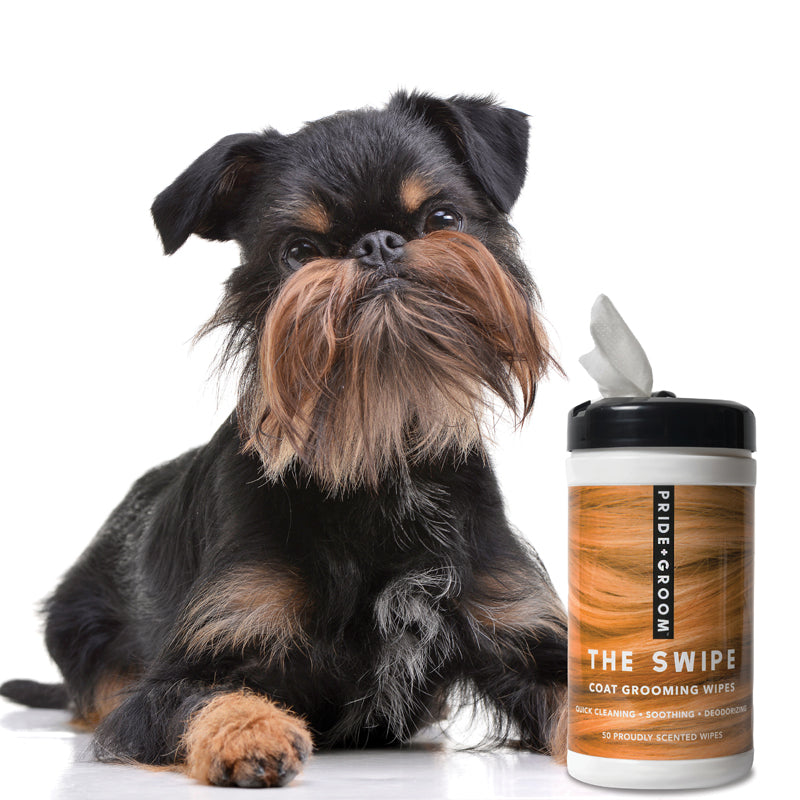 PRIDE+GROOM - THE SWIPE