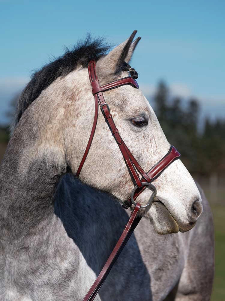 Grewal Equestrian - Santorini Snaffle Bridle