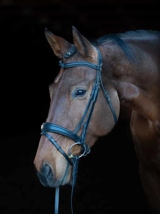 Grewal Equestrian - Southport Dressage Bridle
