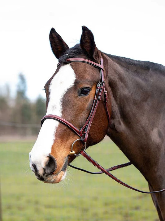 Grewal Equestrian - Spanish Bay Round Raised Hunter Bridle