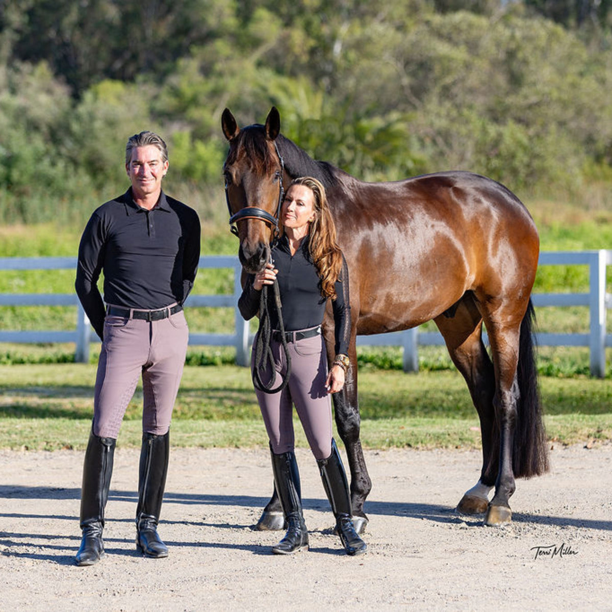 Halter Ego - Evolution Mystique Full Seat Breeches - Sparrow - MID WAIST