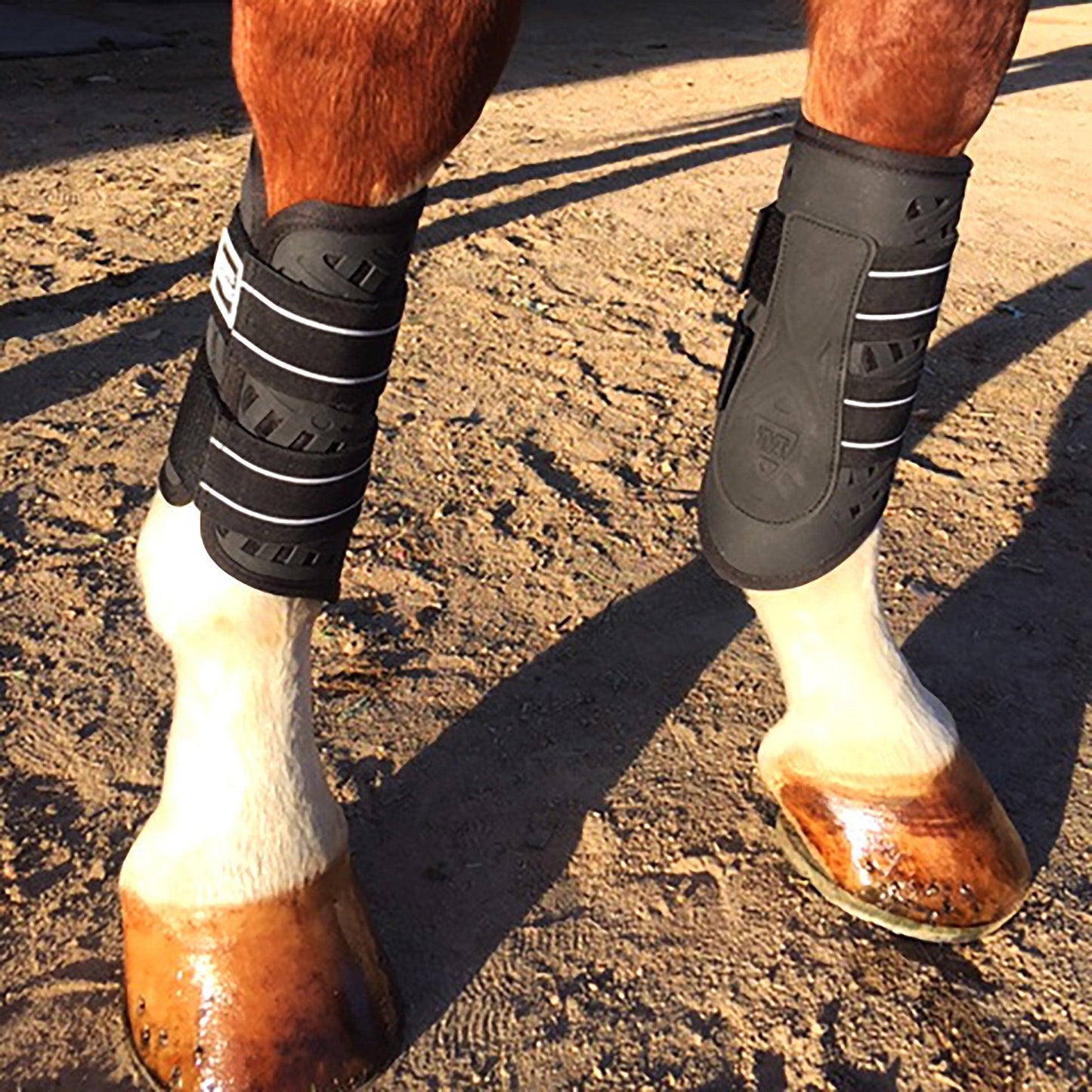 Majyk Equipe - Sport Boot (Dressage)