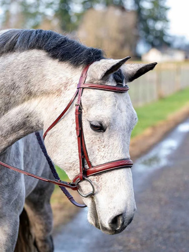 Grewal Equestrian - St. Andrews Square Raised Hunter Bridle