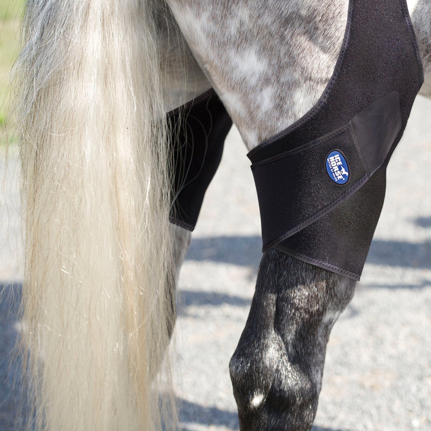 Ice Horse - Stifle Wraps