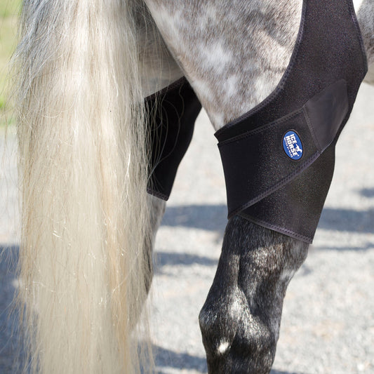 Ice Horse - Stifle Wraps