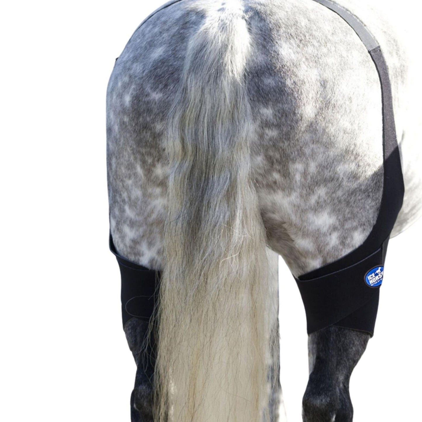 Ice Horse - Stifle Wraps