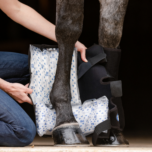 Ice Horse - Suspensory/Full Tendon Wrap