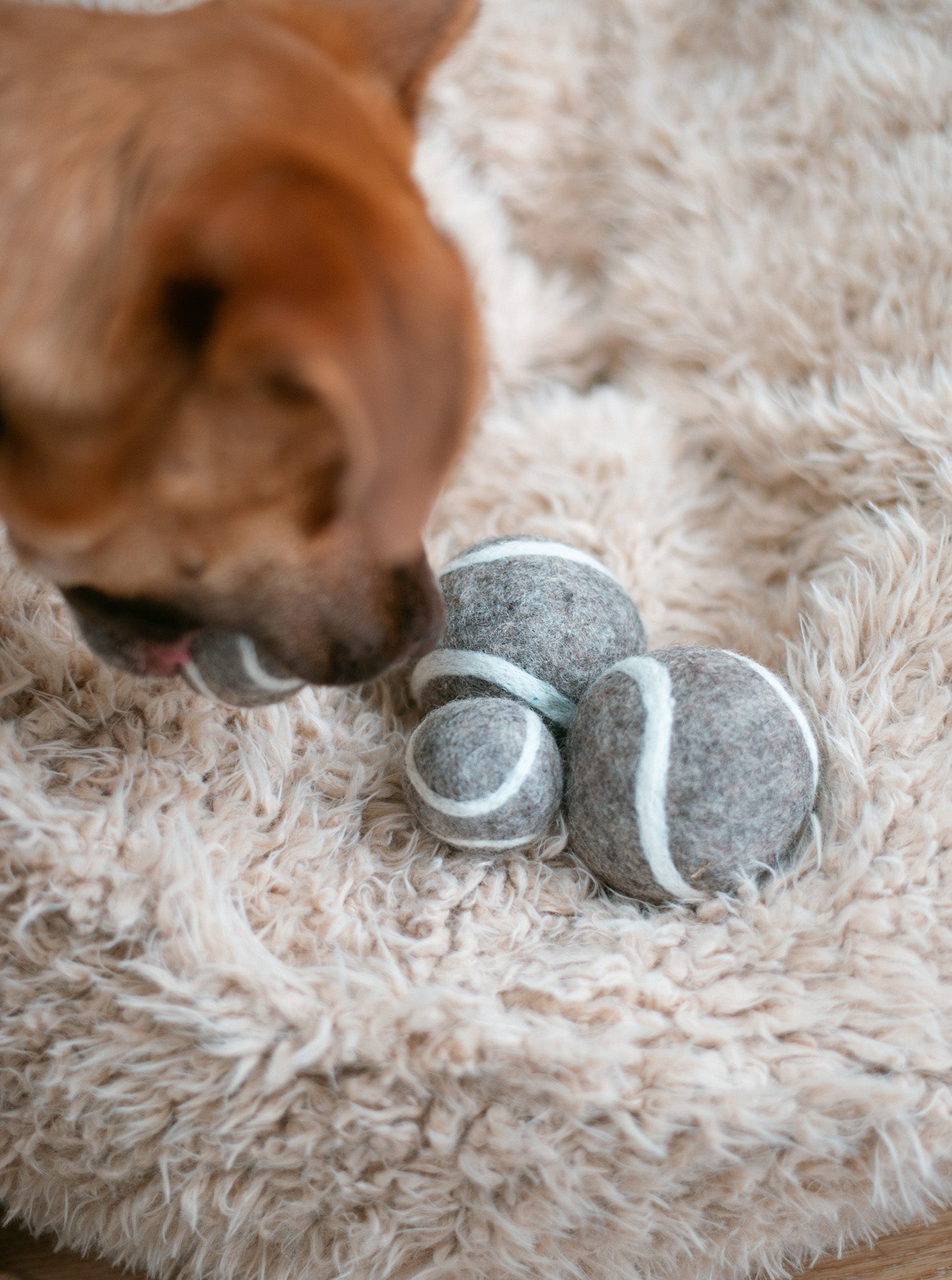 MODERNBEAST Wool Tennis Ball