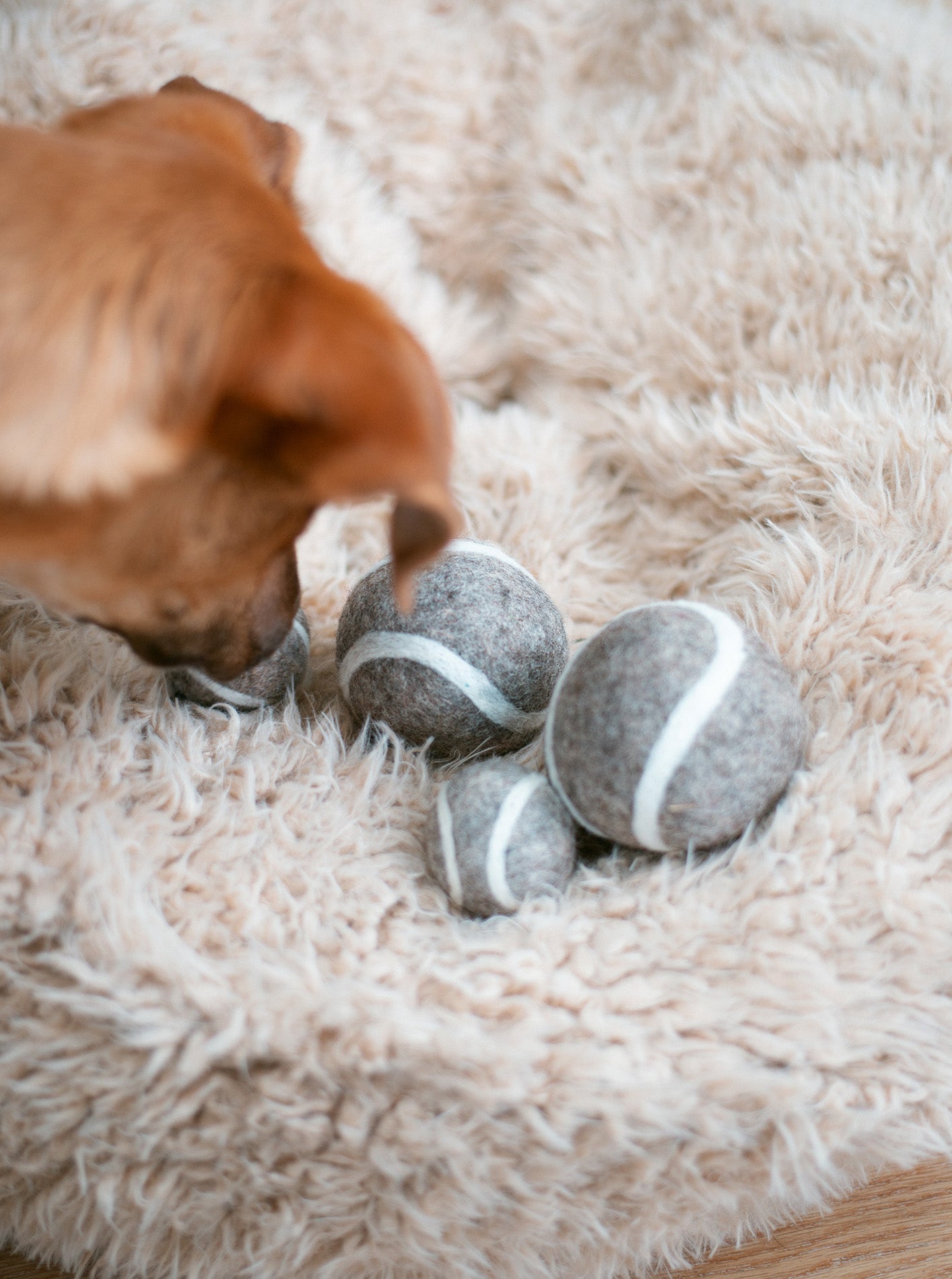 MODERNBEAST Wool Tennis Ball