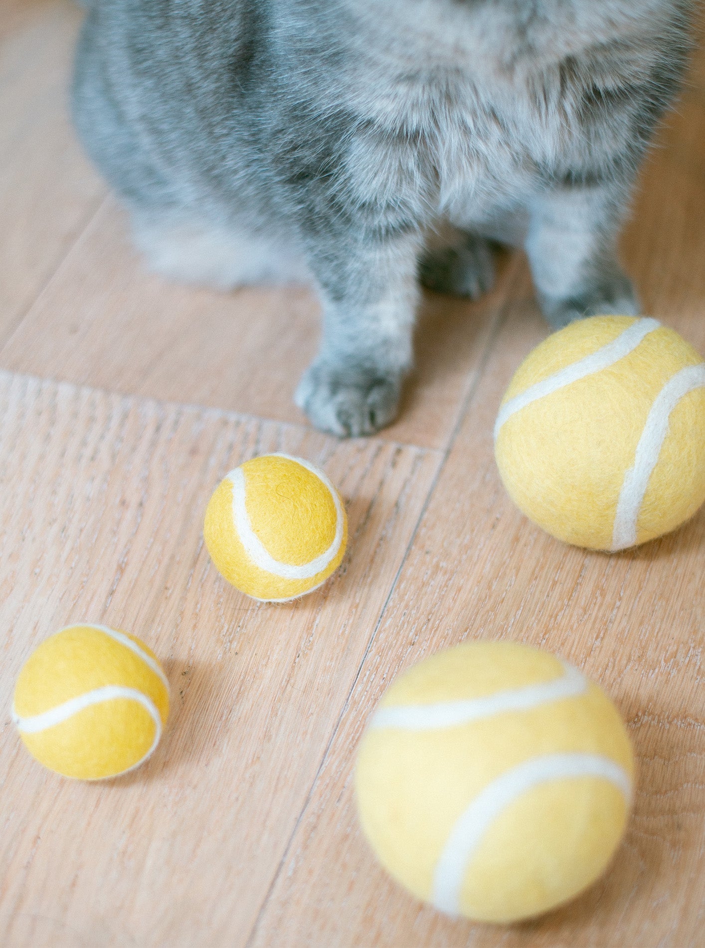 MODERNBEAST Wool Tennis Ball