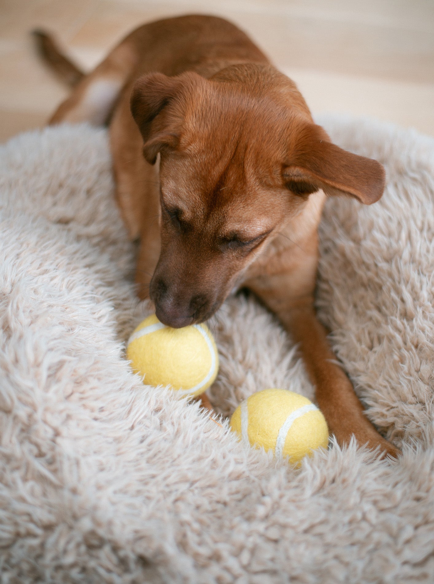 MODERNBEAST Wool Tennis Ball