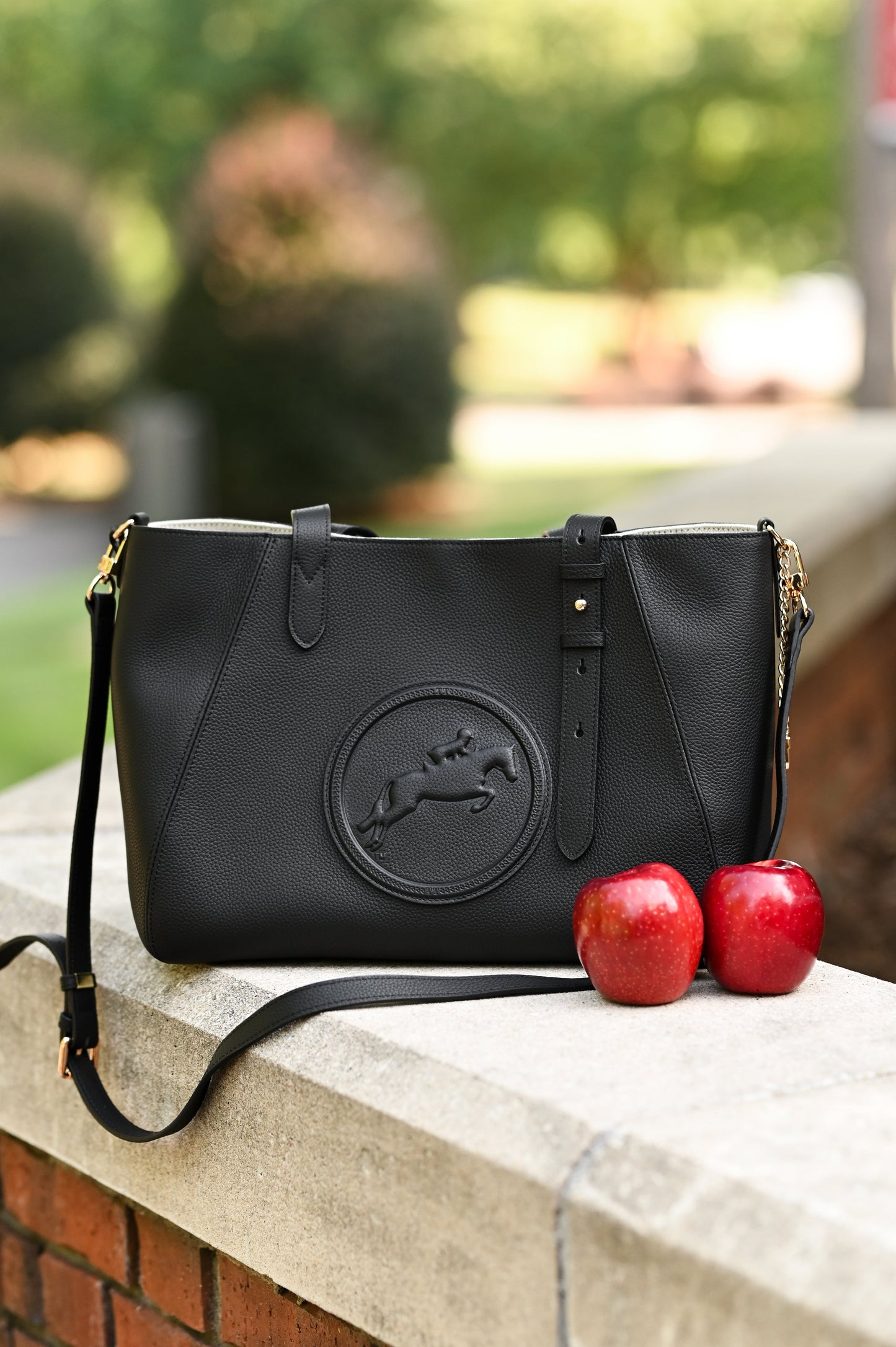 Tucker Tweed - Cavaletti Convertible | Hunter/Jumper