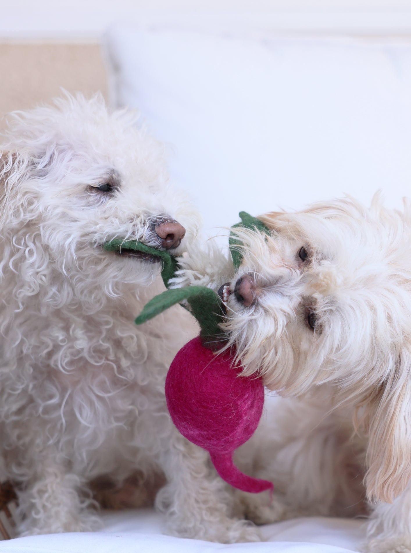 MODERNBEAST - Turnip Wool Dog & Cat Toy