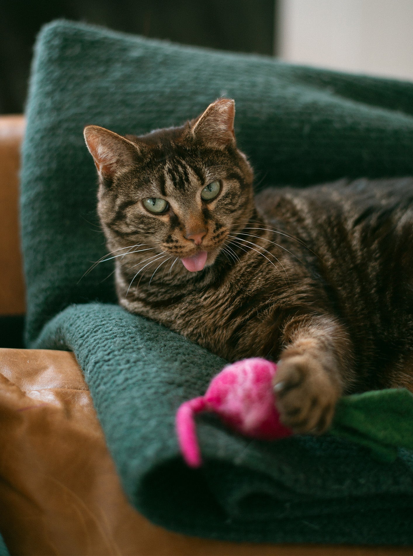 MODERNBEAST - Turnip Wool Dog & Cat Toy