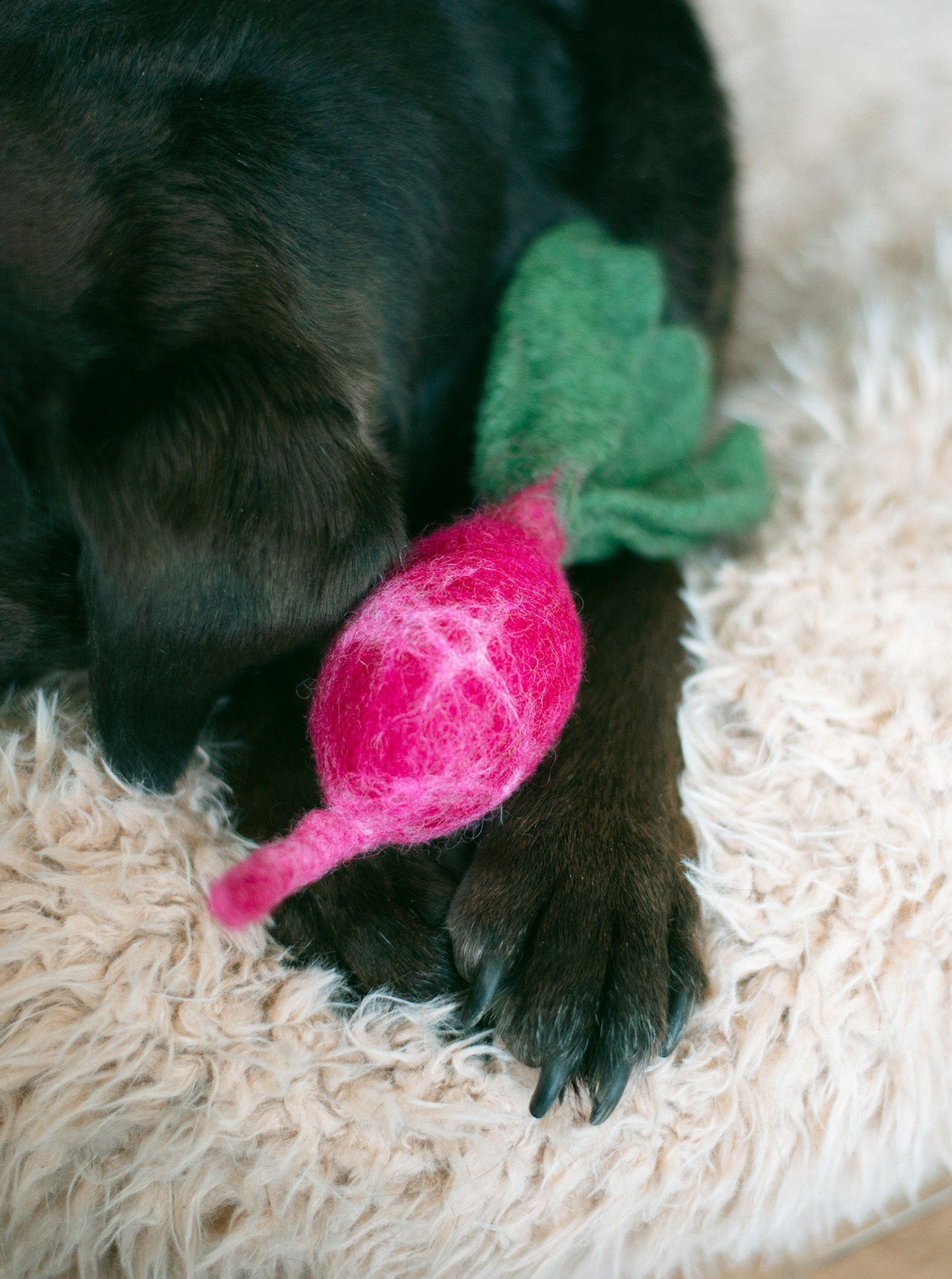 MODERNBEAST - Turnip Wool Dog & Cat Toy