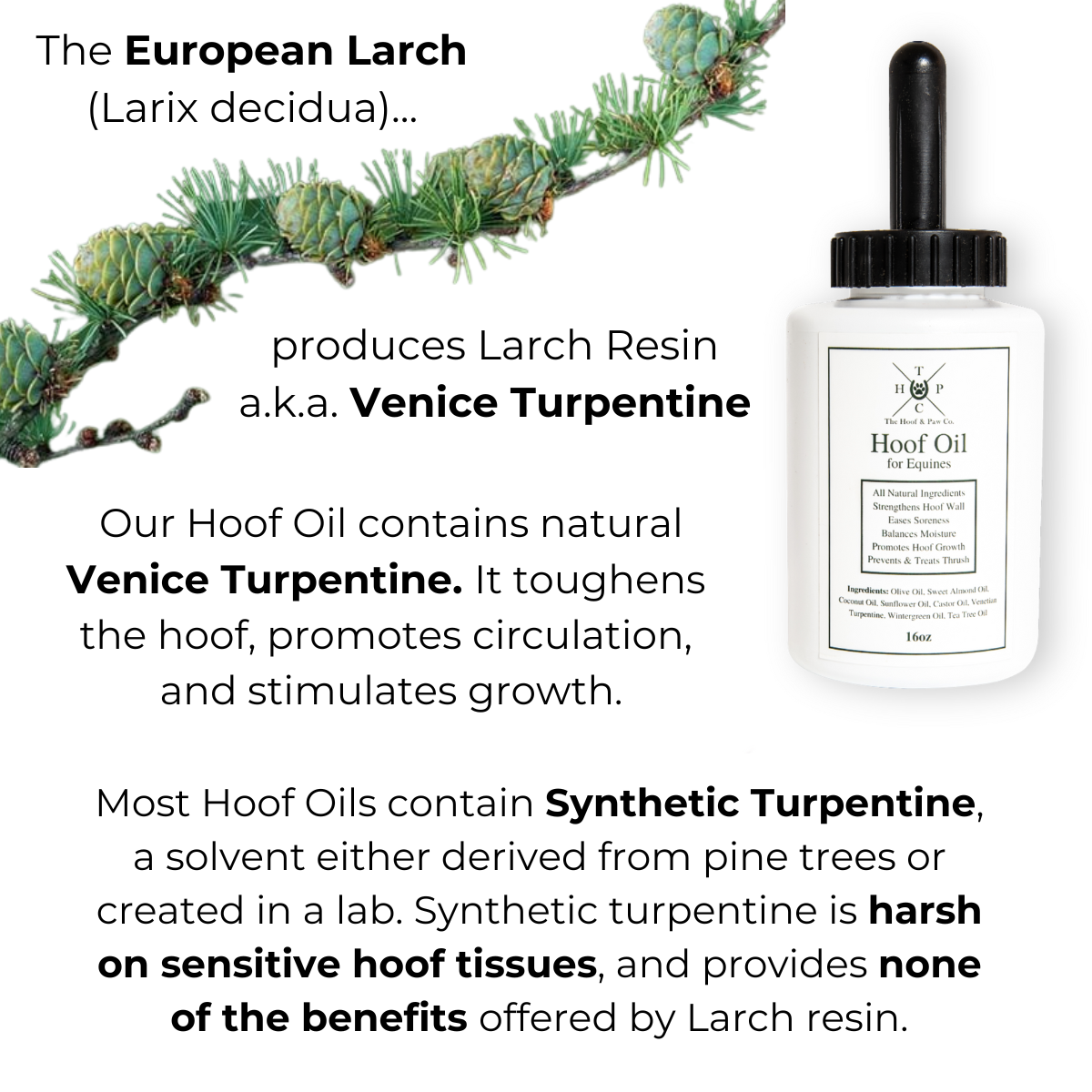 The Hoof & Paw Co. Hoof Oil for Horses