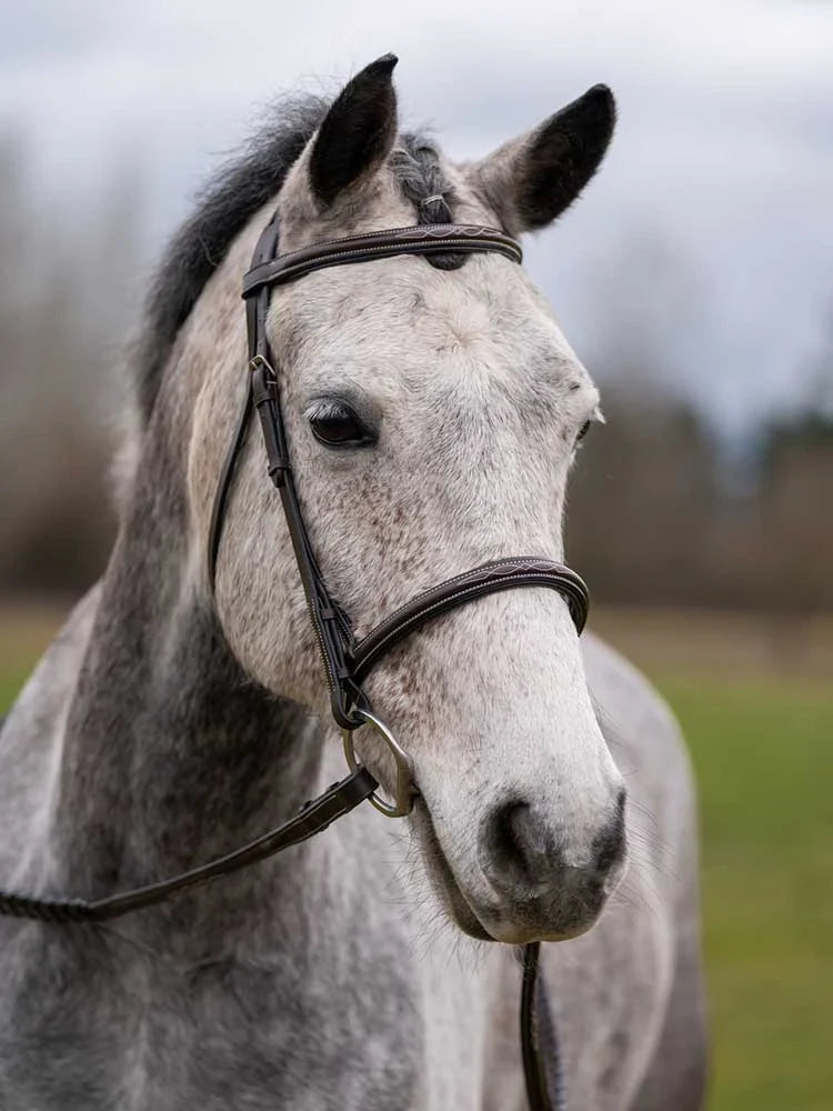 Grewal Equestrian - Thornberry Round Raised Hunter Bridle