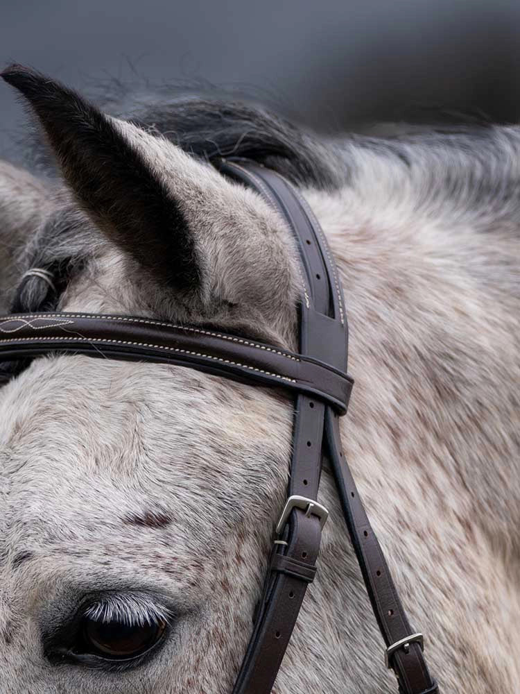 Grewal Equestrian - Thornberry Round Raised Hunter Bridle