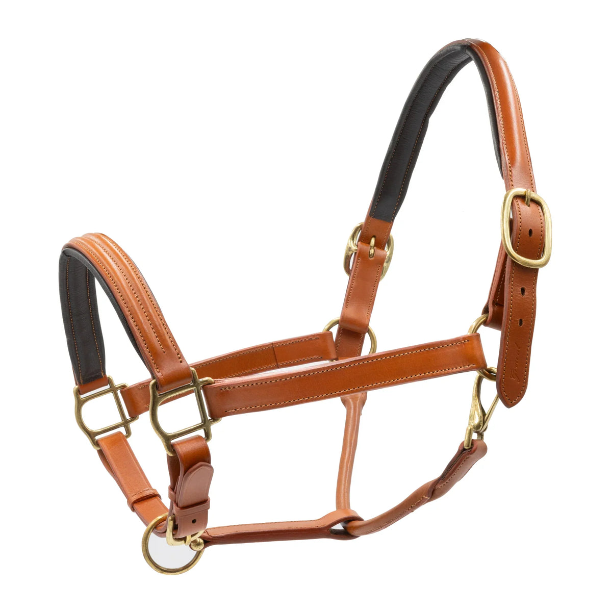 Grewal Equestrian - Triple-Stitched Leather Halter