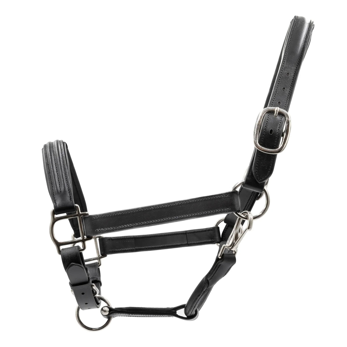 Grewal Equestrian - Triple-Stitched Leather Halter